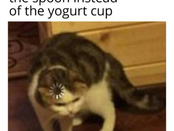 Кот грузится