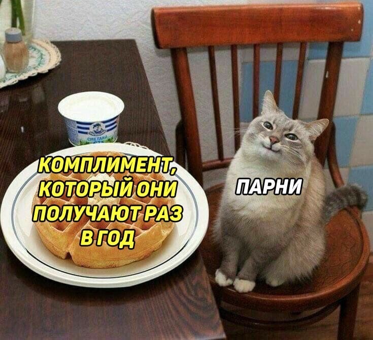 Кот с блинами или вафлями