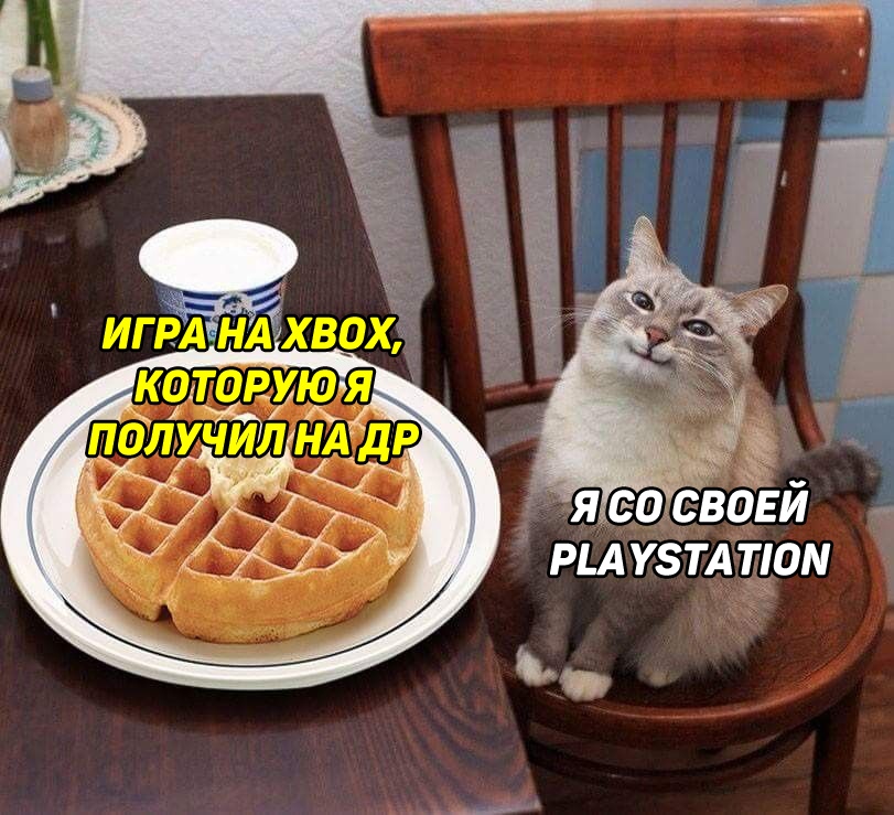 Кот с блинами или вафлями