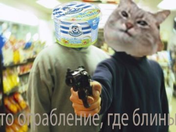Кот с блинами или вафлями