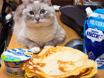 Кот с блинами или вафлями