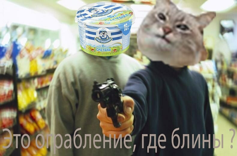 Кот с блинами или вафлями