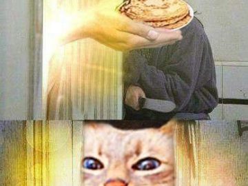 Кот с блинами или вафлями