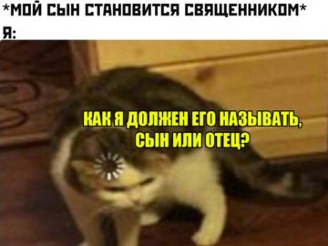 Кот грузится
