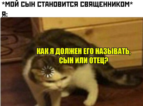 Кот грузится