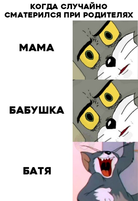 том в шоке том в шоке