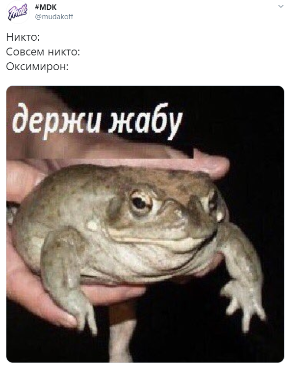 Егор Жуков Оксимирон видео Егор Жуков Оксимирон видео