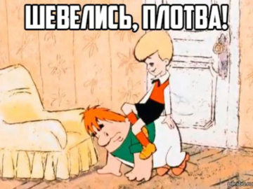 Шевелись плотва!