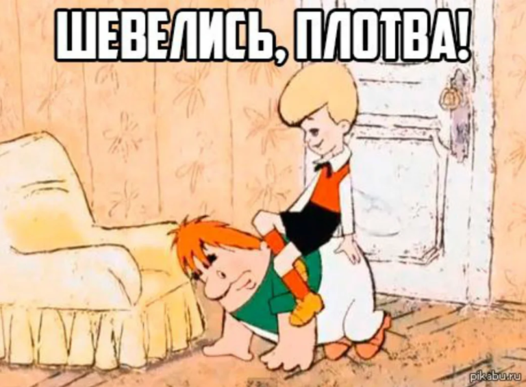 Шевелись плотва!