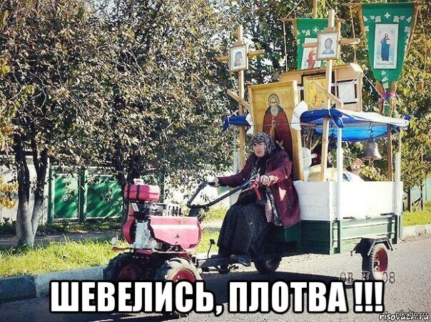 Шевелись плотва!