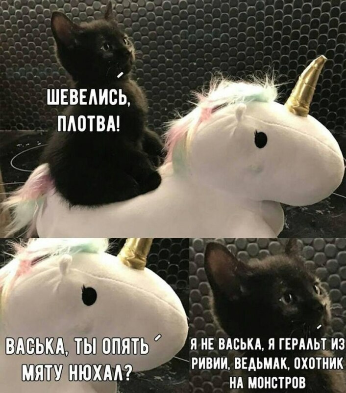 Шевелись плотва!