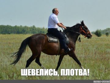 Шевелись плотва!