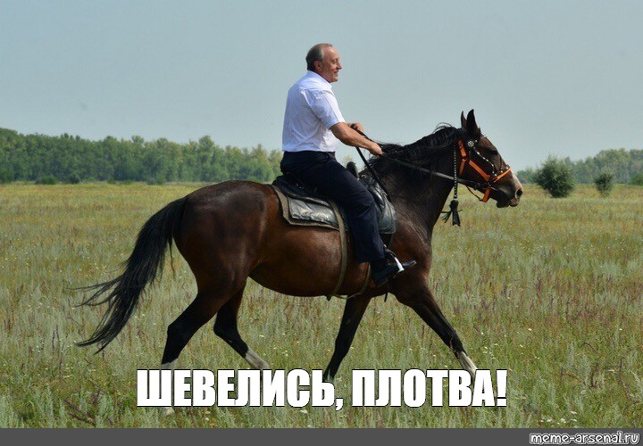 Шевелись плотва!