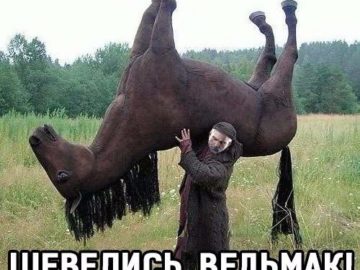 Шевелись плотва!