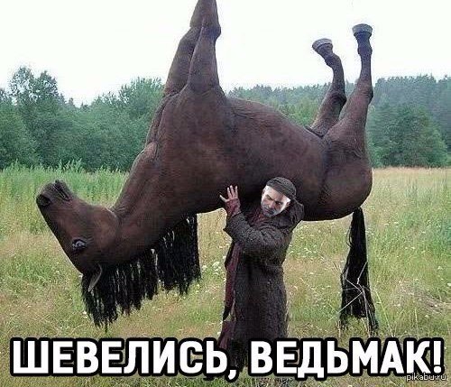Шевелись плотва!