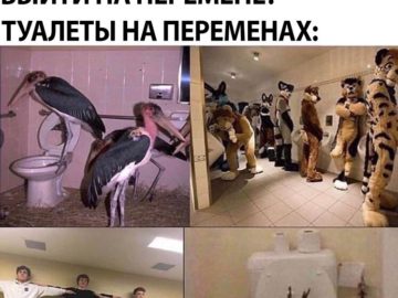 Туалет во время перемены