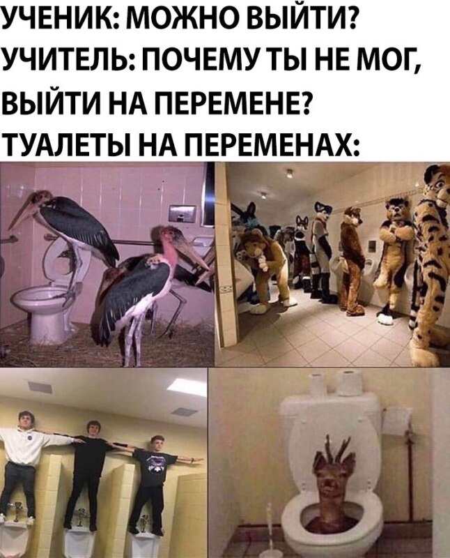 Туалет во время перемены