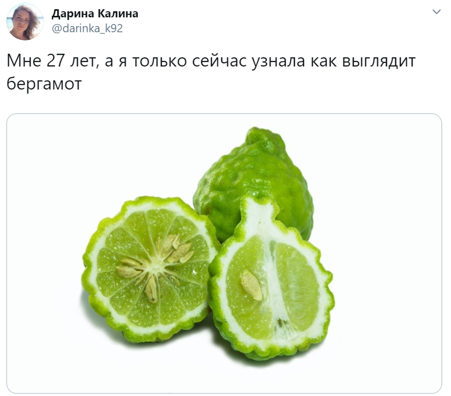 узнал что такое бергамот узнал что такое бергамот