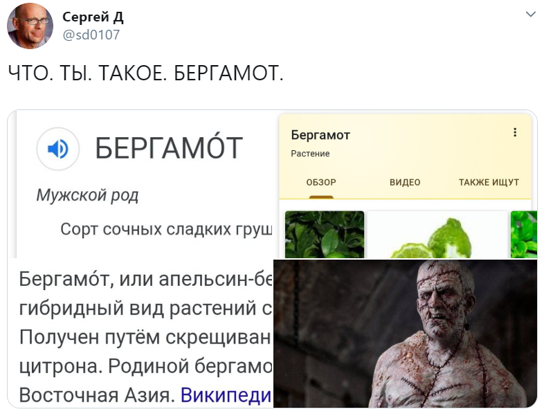 узнал что такое бергамот узнал что такое бергамот