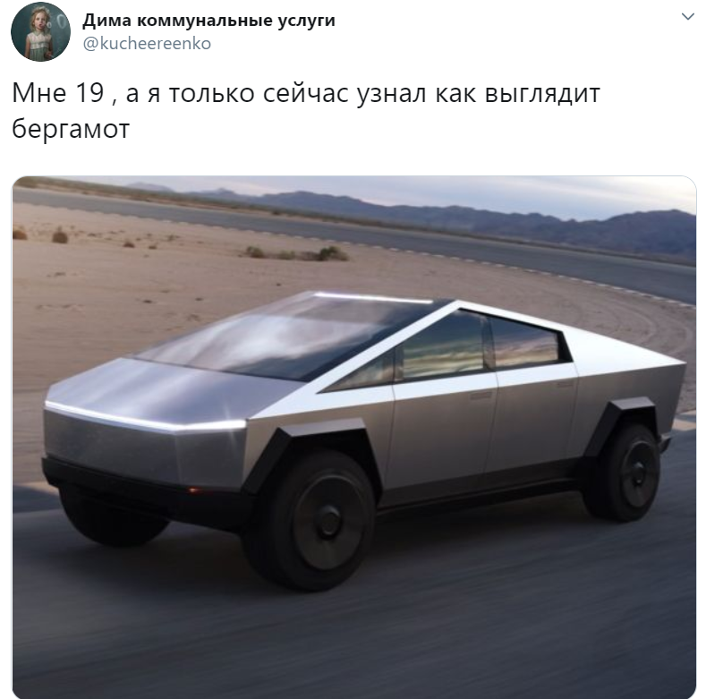 узнал что такое бергамот узнал что такое бергамот