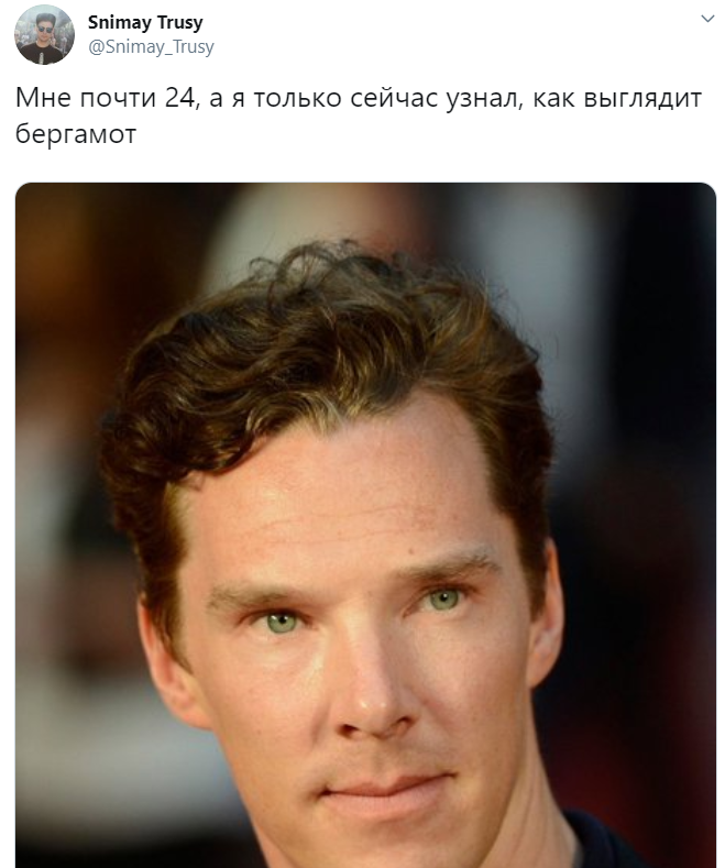 узнал что такое бергамот узнал что такое бергамот