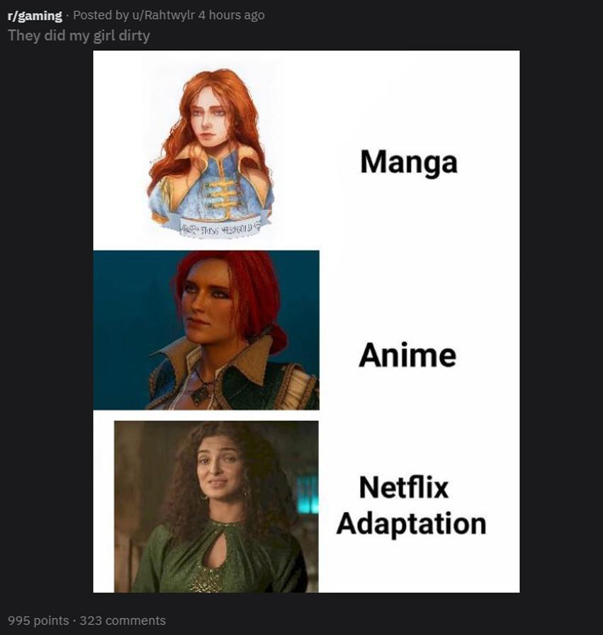 witcher memes