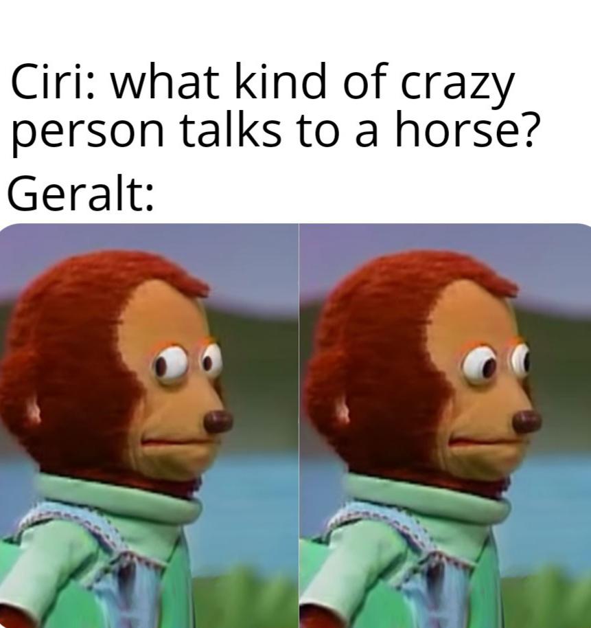 witcher memes