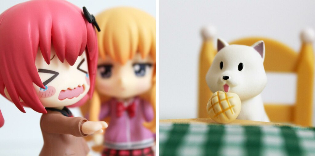 Woman yelling at a cat Woman yelling at a cat