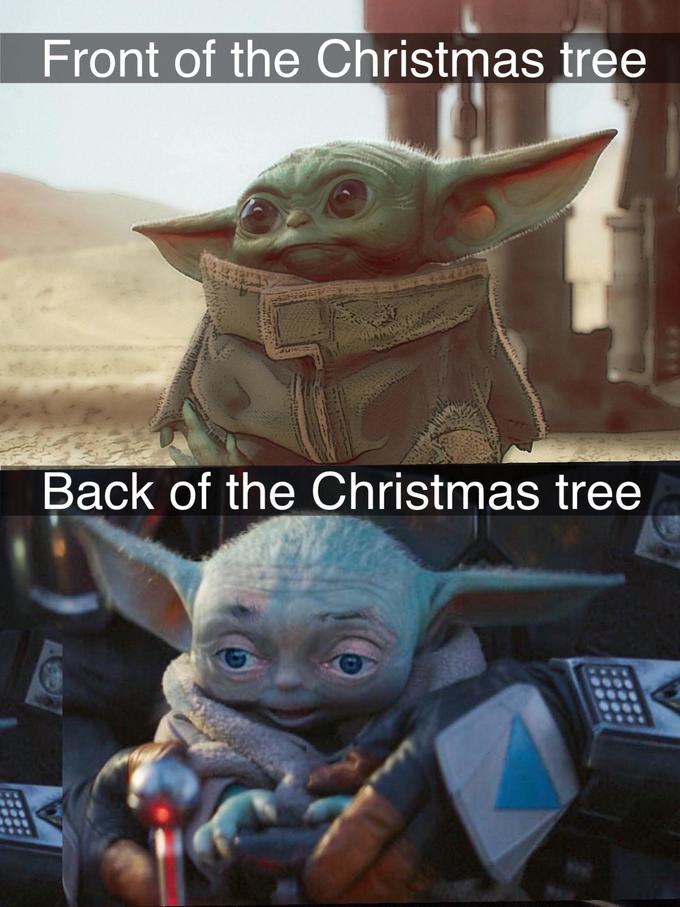 Задняя сторона елки и передняя сторона елки