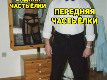 Задняя сторона елки и передняя сторона елки