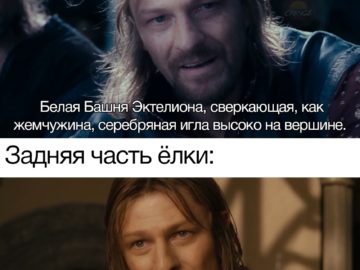 Задняя сторона елки и передняя сторона елки