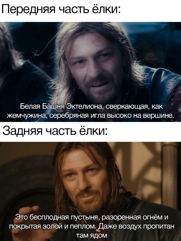 Задняя сторона елки и передняя сторона елки