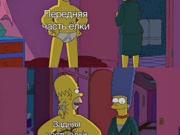 Задняя сторона елки и передняя сторона елки