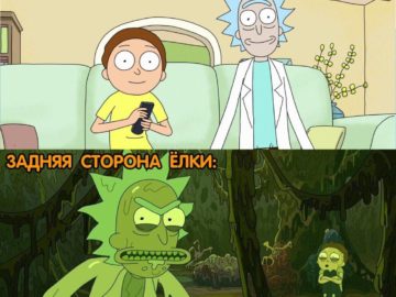 Задняя сторона елки и передняя сторона елки