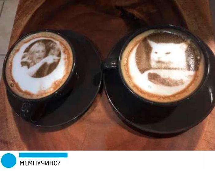 Женщина кричит на кота капучино Женщина кричит на кота капучино