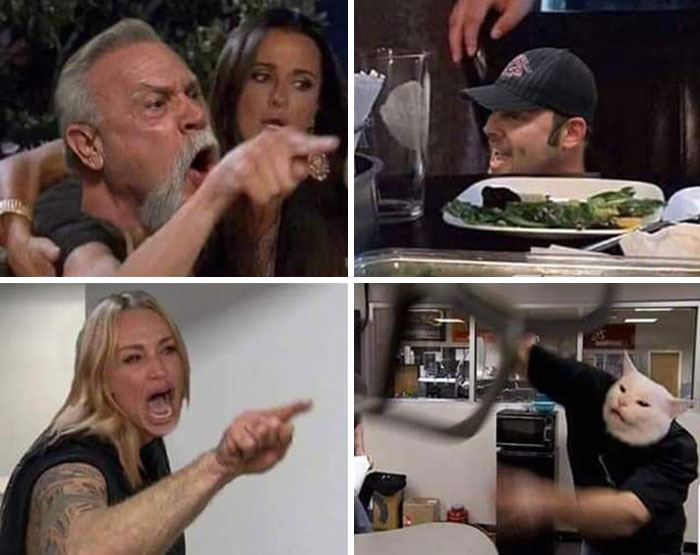 Woman yelling at cat best memes Woman yelling at cat best memes
