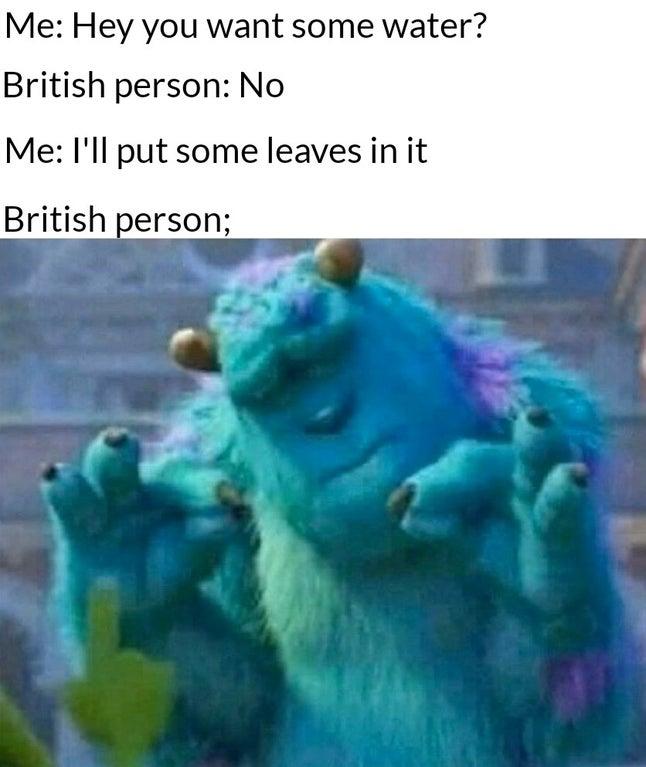 Довольный Салли