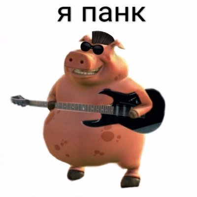 я панк мне похуй