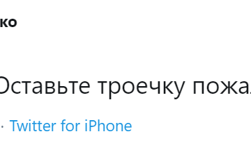 я панк мне по