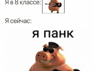 я панк мне похуй