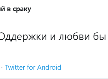 я панк мне по