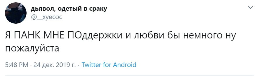 я панк мне по