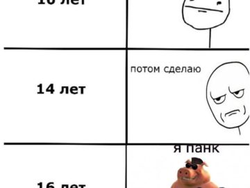 я панк мне похуй