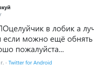 я панк мне по