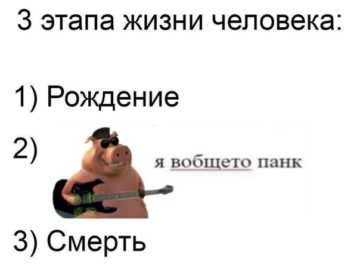 я панк мне похуй