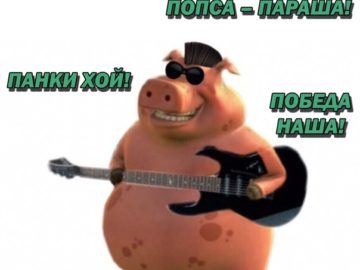 я панк мне похуй