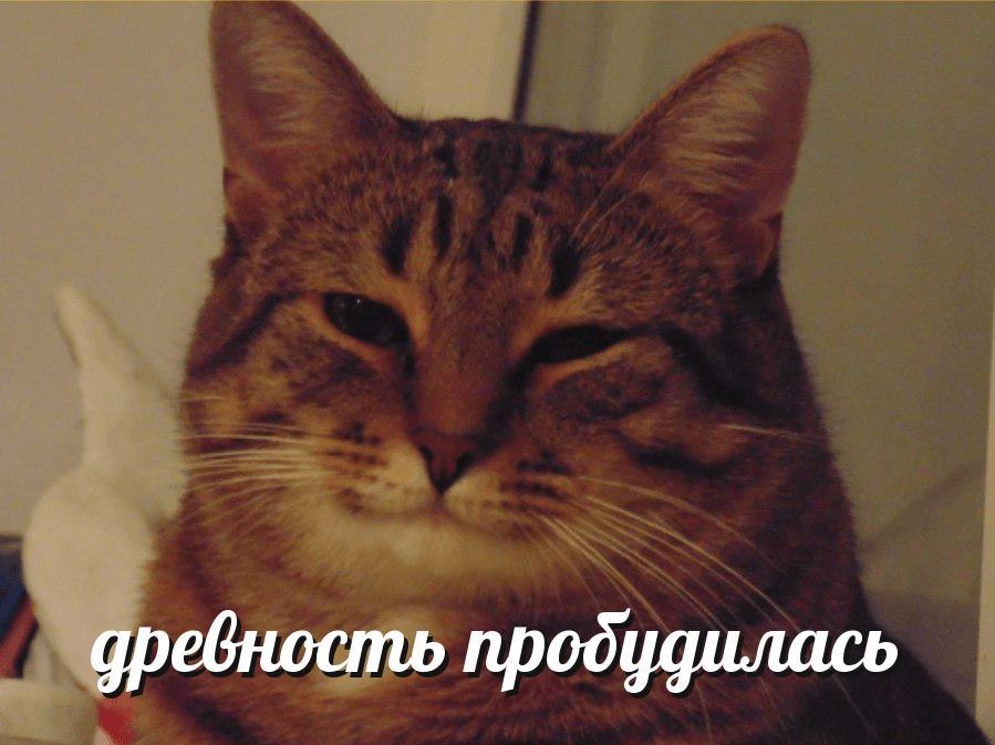 Всратослав бот Всратослав бот