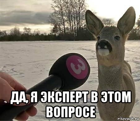 Интервью с косулей Интервью с косулей