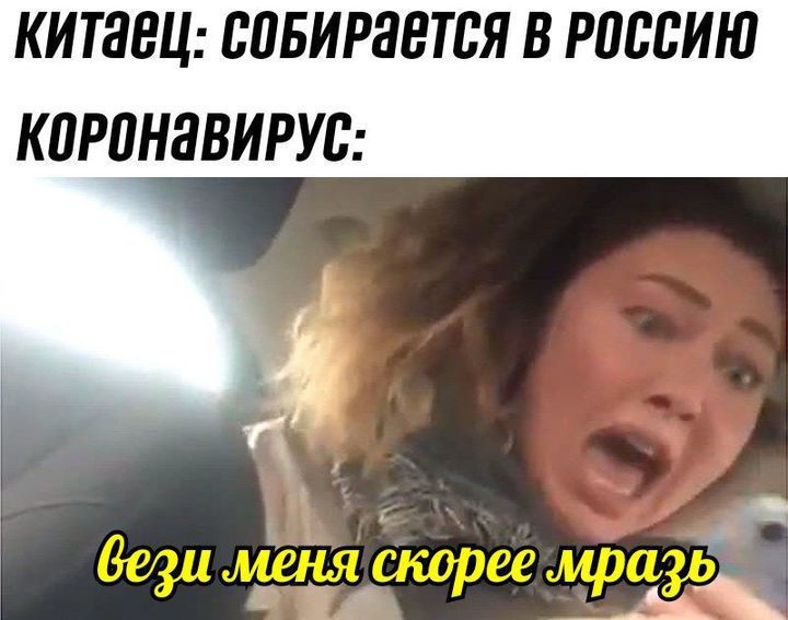 вези меня тварь вези меня тварь