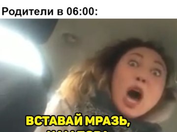 Мем Вези меня мразь Яна Данькова